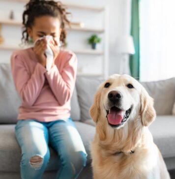 Pet Care Tips | 10 Caring Hacks to Keep Pets Healthy and Safe from Any Disease Pet Care