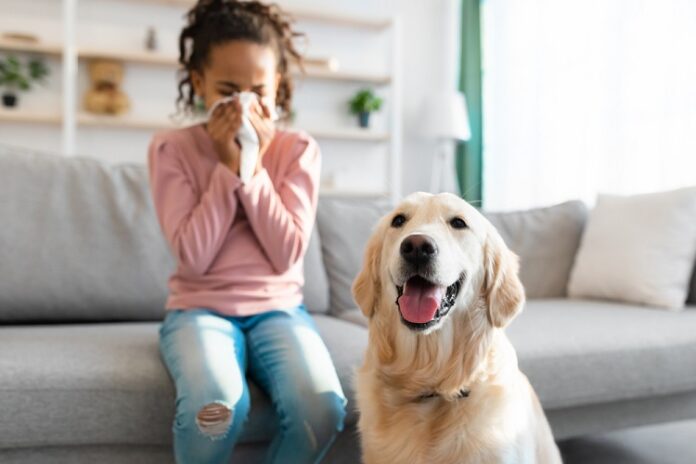 Pet Care